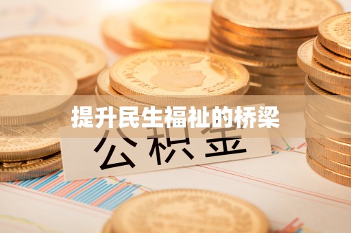 阜沙提升民生福祉的桥梁