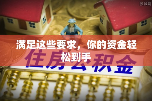 阜沙满足这些要求，你的资金轻松到手