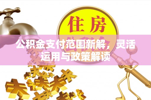 阜沙公积金支付范围新解，灵活运用与政策解读