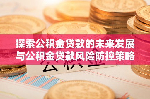 阜沙探索公积金贷款的未来发展与公积金贷款风险防控策略