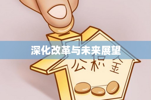 阜沙深化改革与未来展望