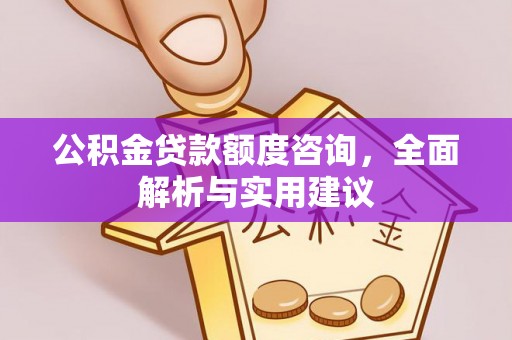 阜沙公积金贷款额度咨询，全面解析与实用建议