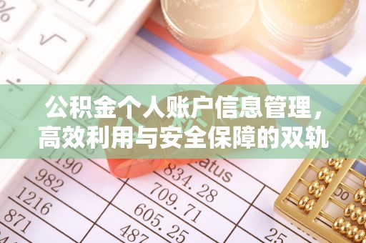 阜沙公积金个人账户信息管理，高效利用与安全保障的双轨并行
