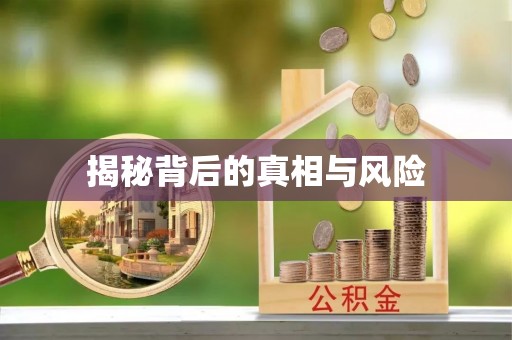 阜沙揭秘背后的真相与风险