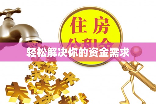 阜沙轻松解决你的资金需求