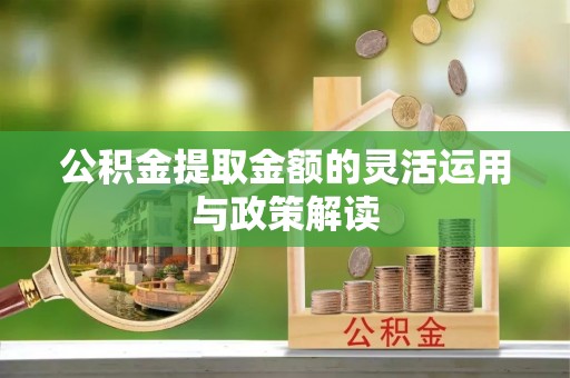 阜沙公积金提取金额的灵活运用与政策解读