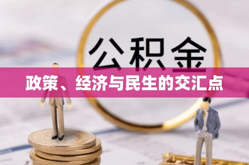阜沙政策、经济与民生的交汇点