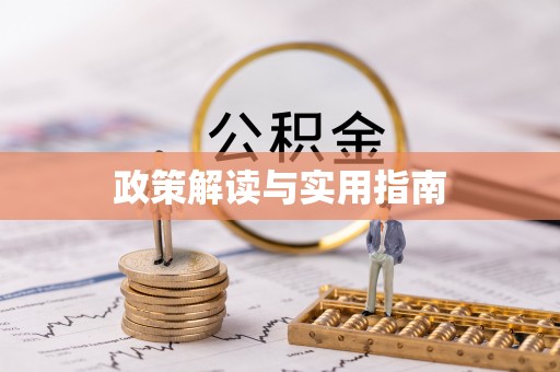 阜沙政策解读与实用指南