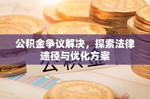 阜沙公积金争议解决，探索法律途径与优化方案