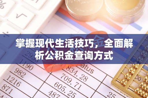 阜沙掌握现代生活技巧，全面解析公积金查询方式