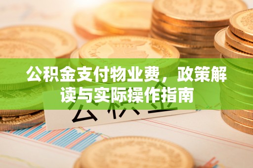 阜沙公积金支付物业费，政策解读与实际操作指南