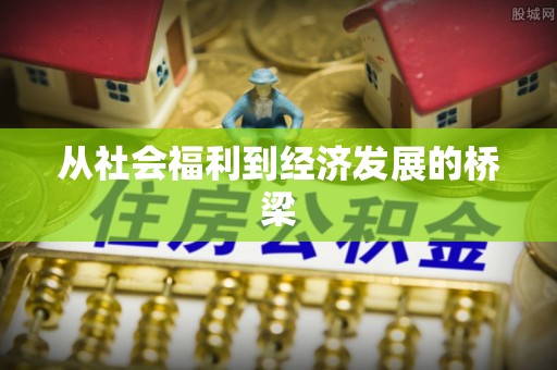 阜沙从社会福利到经济发展的桥梁