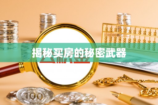 阜沙揭秘买房的秘密武器
