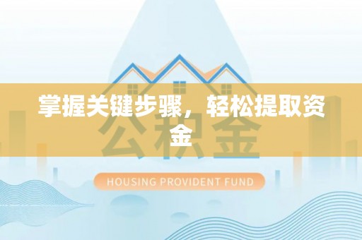 阜沙掌握关键步骤，轻松提取资金