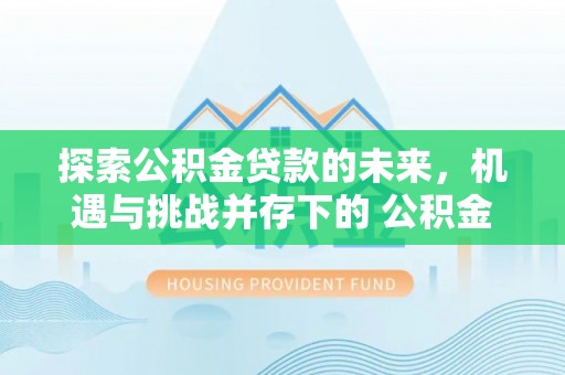 阜沙探索公积金贷款的未来，机遇与挑战并存下的 公积金贷款风险防控