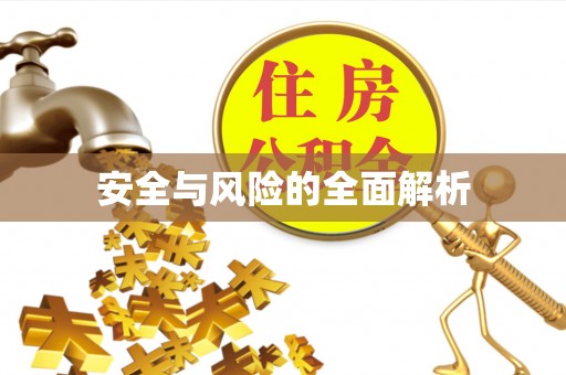 阜沙安全与风险的全面解析