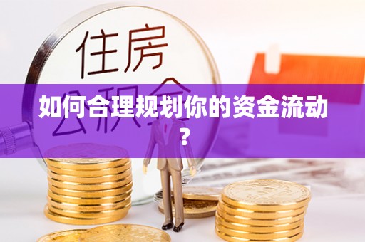 阜沙如何合理规划你的资金流动？