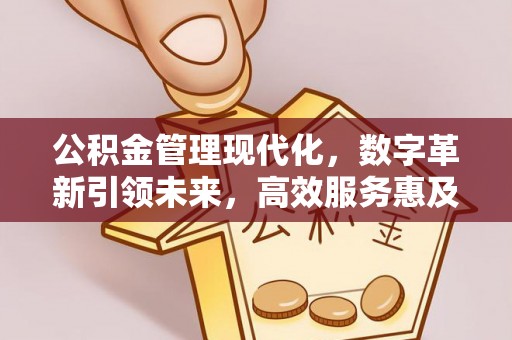 阜沙公积金管理现代化，数字革新引领未来，高效服务惠及民生
