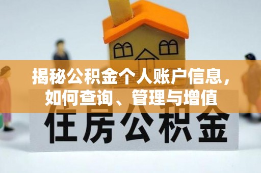 阜沙揭秘公积金个人账户信息，如何查询、管理与增值