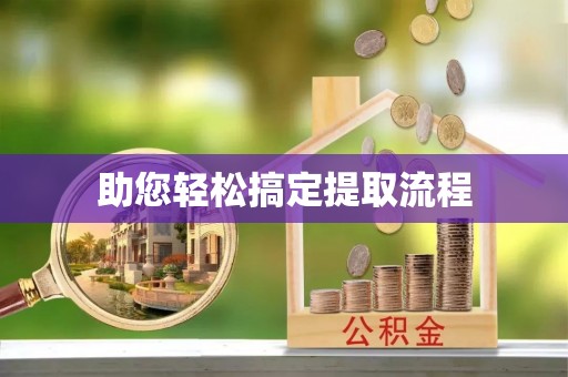 阜沙助您轻松搞定提取流程