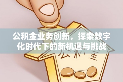 阜沙公积金业务创新，探索数字化时代下的新机遇与挑战