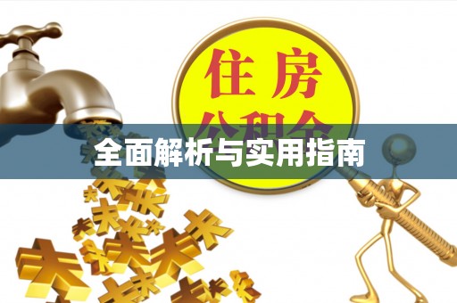 阜沙全面解析与实用指南