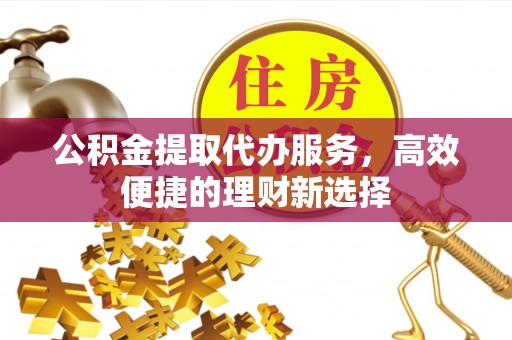 阜沙公积金提取代办服务，高效便捷的理财新选择