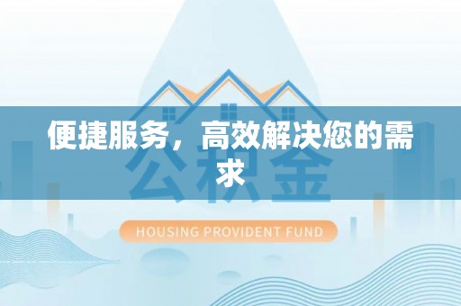阜沙便捷服务，高效解决您的需求