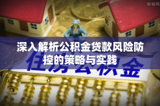 阜沙深入解析公积金贷款风险防控的策略与实践