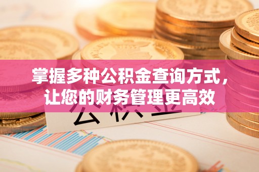 阜沙掌握多种公积金查询方式，让您的财务管理更高效