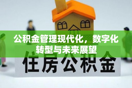 阜沙公积金管理现代化，数字化转型与未来展望