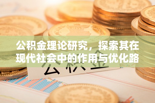 阜沙公积金理论研究，探索其在现代社会中的作用与优化路径