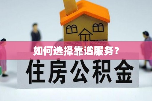 阜沙如何选择靠谱服务？