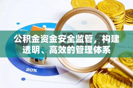 阜沙公积金资金安全监管，构建透明、高效的管理体系