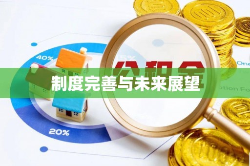 阜沙制度完善与未来展望