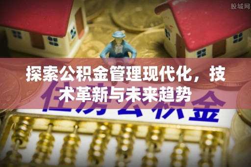 阜沙探索公积金管理现代化，技术革新与未来趋势