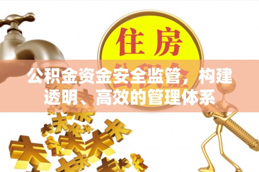 阜沙公积金资金安全监管，构建透明、高效的管理体系