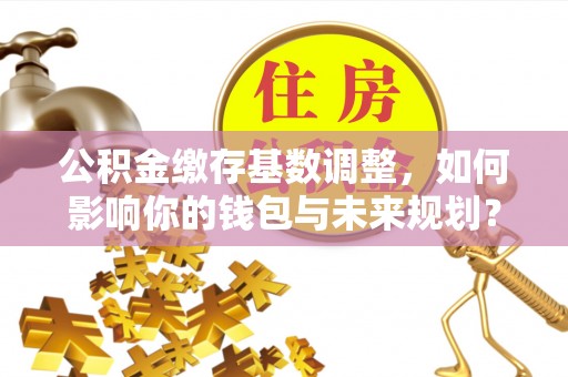 阜沙公积金缴存基数调整，如何影响你的钱包与未来规划？