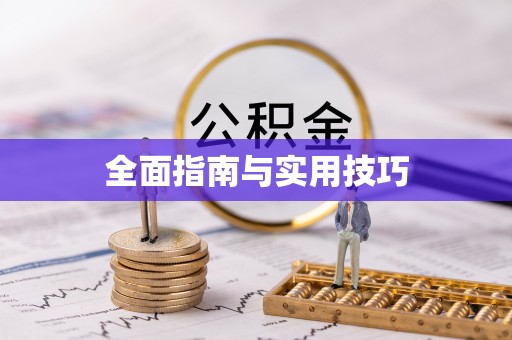 阜沙全面指南与实用技巧