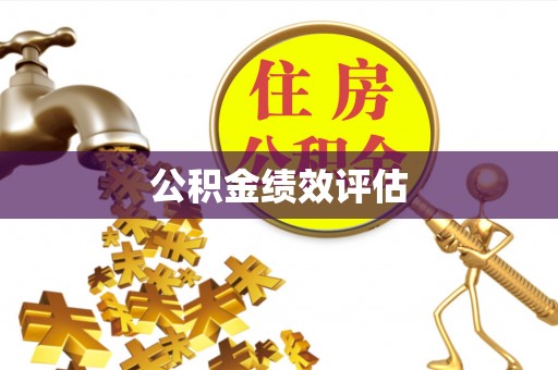 阜沙公积金绩效评估