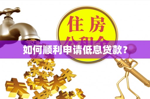 阜沙如何顺利申请低息贷款？