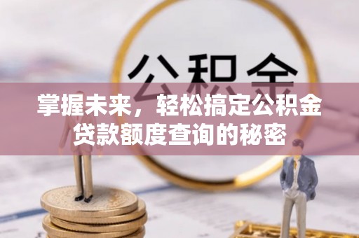 阜沙掌握未来，轻松搞定公积金贷款额度查询的秘密