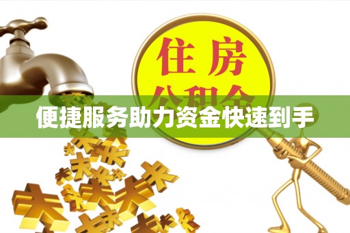 阜沙便捷服务助力资金快速到手