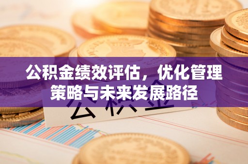 阜沙公积金绩效评估，优化管理策略与未来发展路径