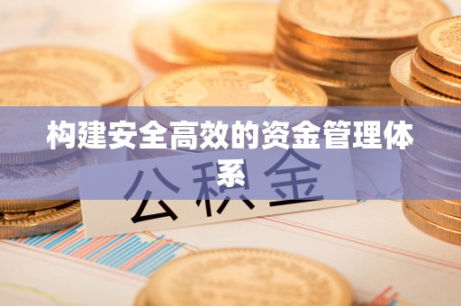 阜沙构建安全高效的资金管理体系