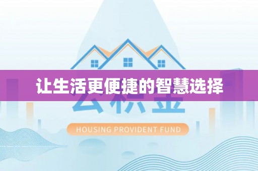 阜沙让生活更便捷的智慧选择