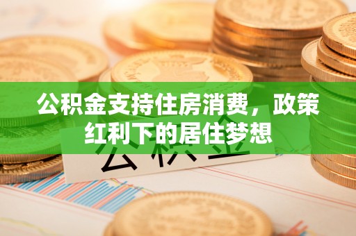 阜沙公积金支持住房消费，政策红利下的居住梦想