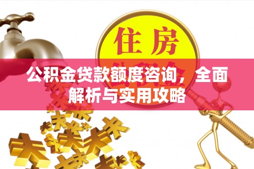 阜沙公积金贷款额度咨询，全面解析与实用攻略