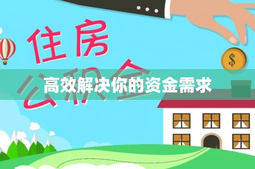 阜沙高效解决你的资金需求
