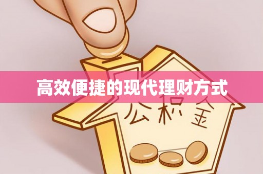 阜沙高效便捷的现代理财方式